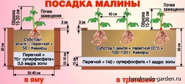 Место для выращивания малины Место для выращивания малины