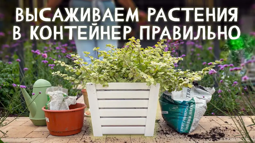 Лайфхаки для улучшения грунта: Лайфхаки для улучшения грунта: