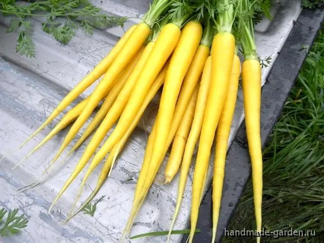 Солнечный желтый (Solar Yellow) Солнечный желтый (Solar Yellow)