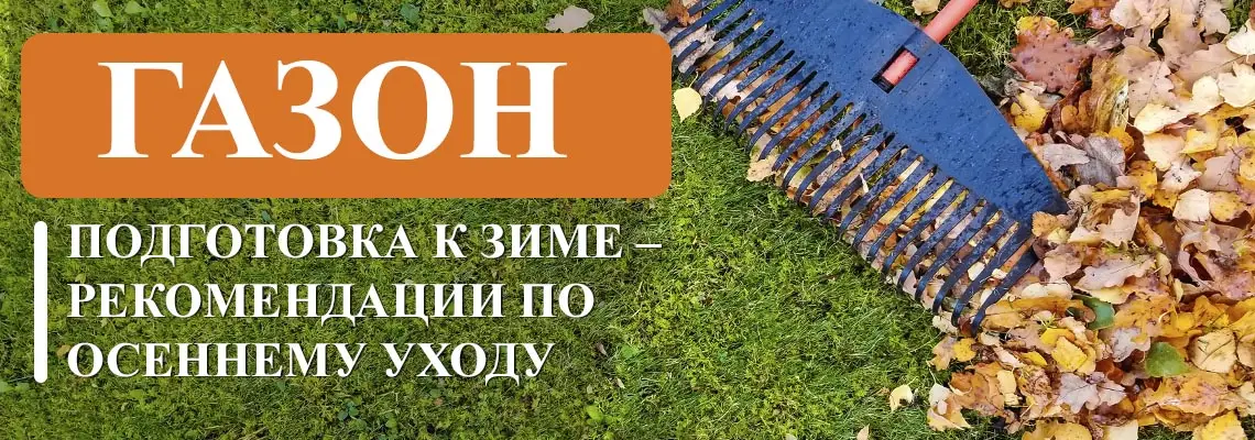 Почему удобрение осенью так важно для газона? Почему удобрение осенью так важно для газона?