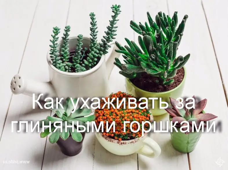 Как ухаживать за глиняными горшками Как ухаживать за глиняными горшками