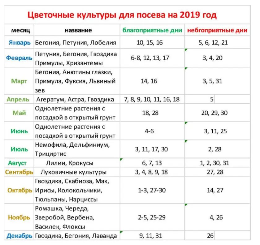 Преимущества посадки под зиму цветов