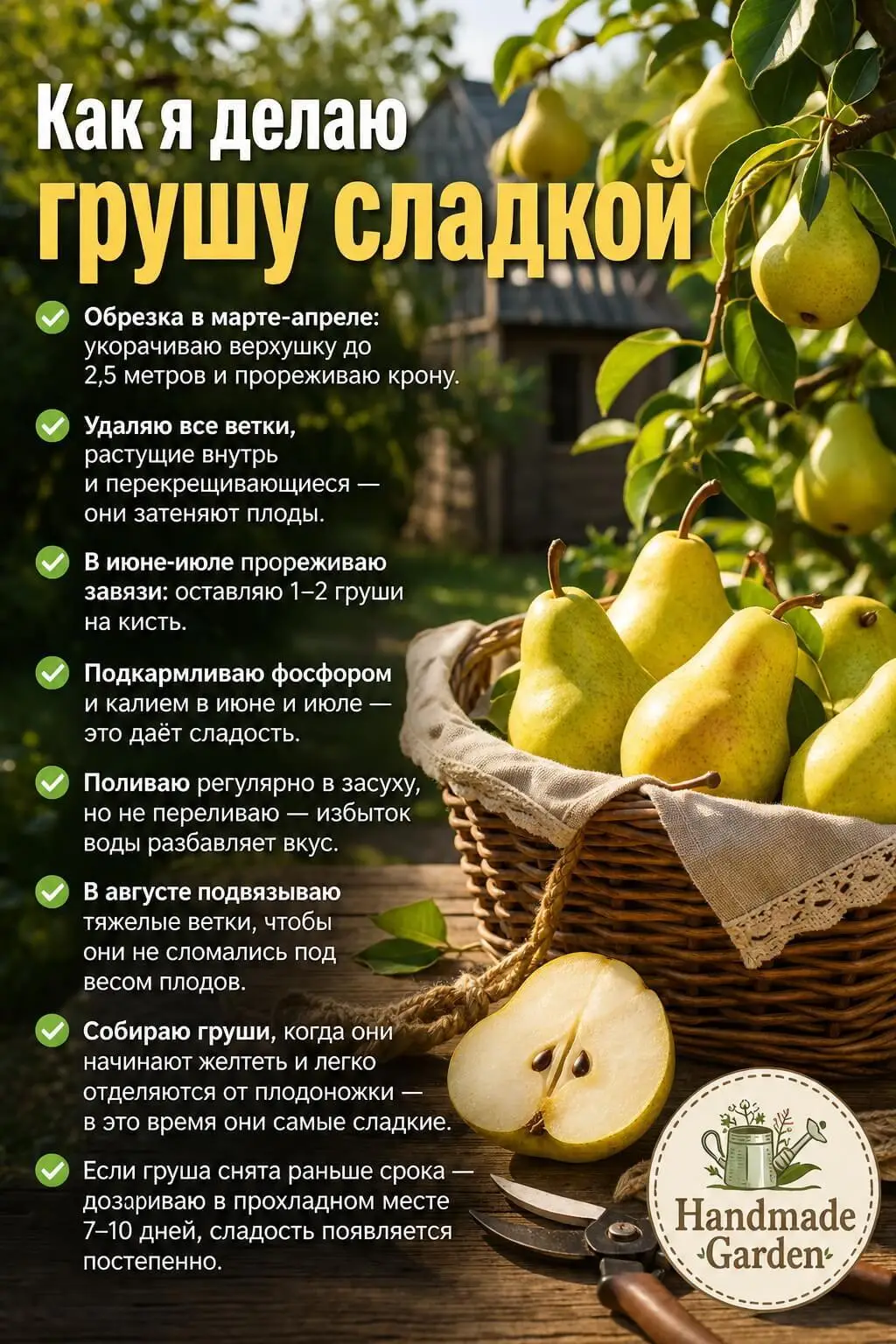 Как я делаю грушу сладкой