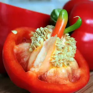 Семена из свежего перца, купленного зимой