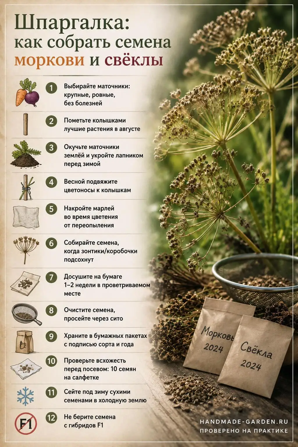 Сбор семян