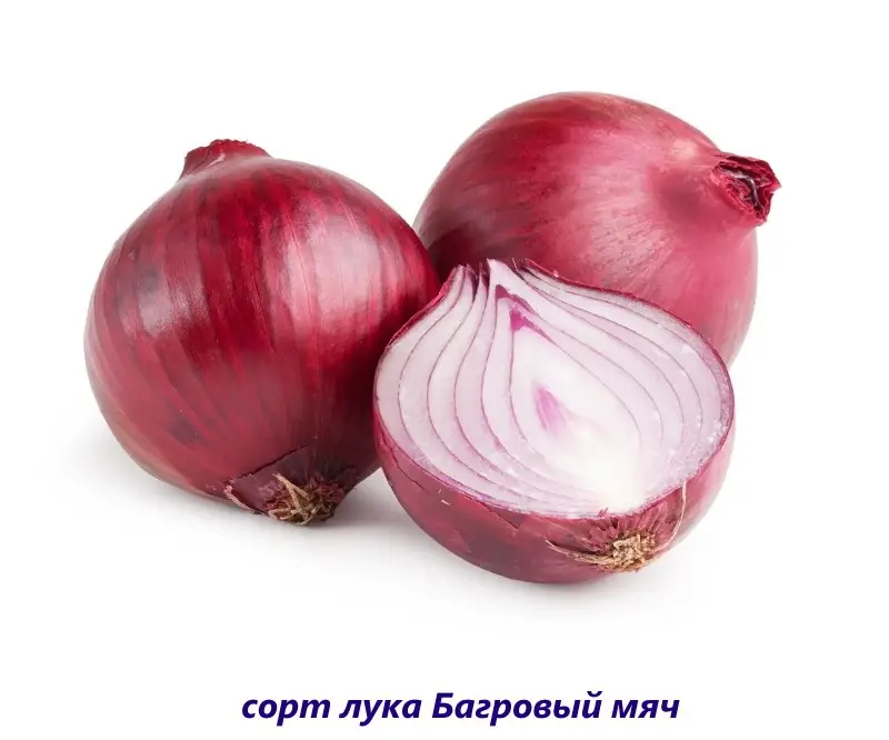 Багровый мяч