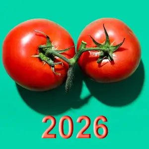 Лунный календарь посева томатов на 2026 год