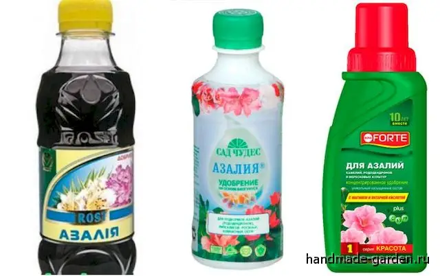 Удобрения для азалии