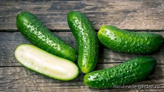 Московский тепличный F1