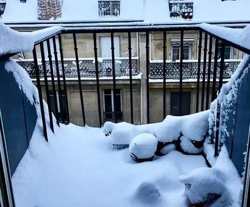 Размещение ели на балконе Размещение ели на балконе