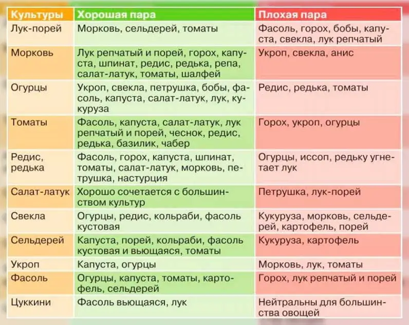 Какие растения являются идеальными предшественниками для огурца?