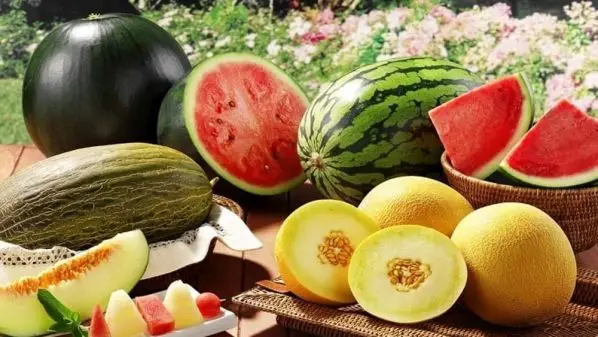 Бахчевые культуры