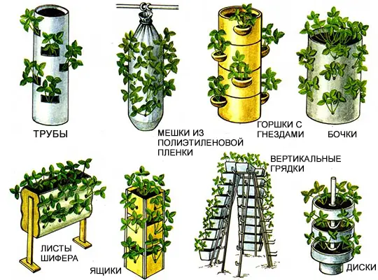 грядка из бочки своими руками