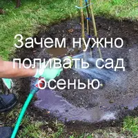 Зачем нужно поливать сад осенью