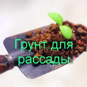 Отказ от пропаривания грунта: секреты успешной рассады