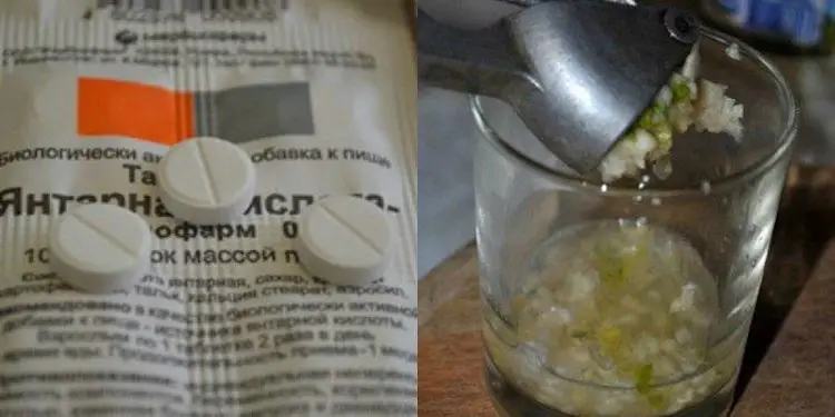 Польза чеснока и янтарной кислоты для орхидеи Польза чеснока и янтарной кислоты для орхидеи