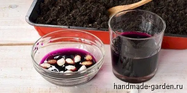 Обработанный лук посредством марганцовки