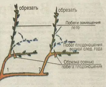 Правила обрезки