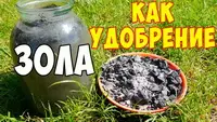 Способы применения золы в качестве удобрения