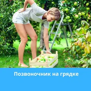 Боль в спине после огорода: как избежать и что делать? Советы для женщин