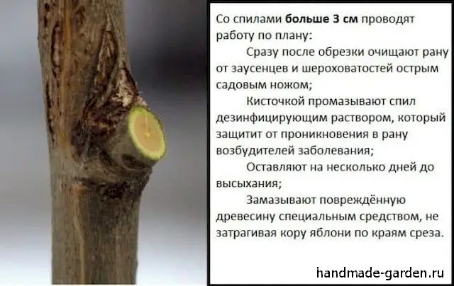 Чем замазать срезы на яблоне, кроме садового вара Чем замазать срезы на яблоне, кроме садового вара
