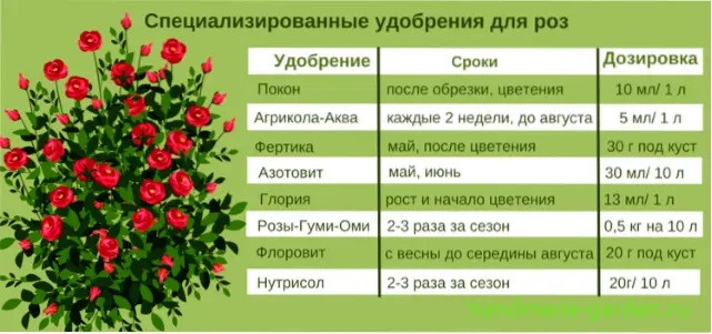 Правила внесения минеральных удобрений Правила внесения минеральных удобрений