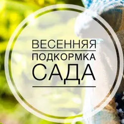 Подкормка ягодных кустарников весной