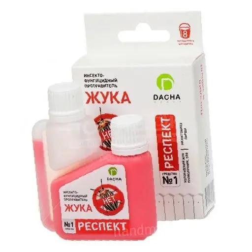 Респект Респект