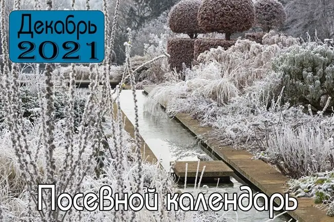 Какие работы выполняют в декабре