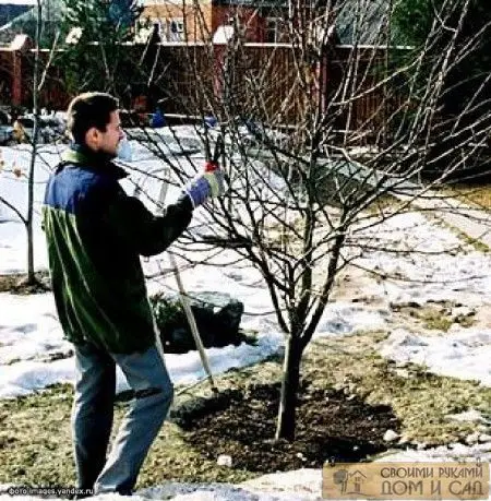 Работы по обрезки де&hellip;
