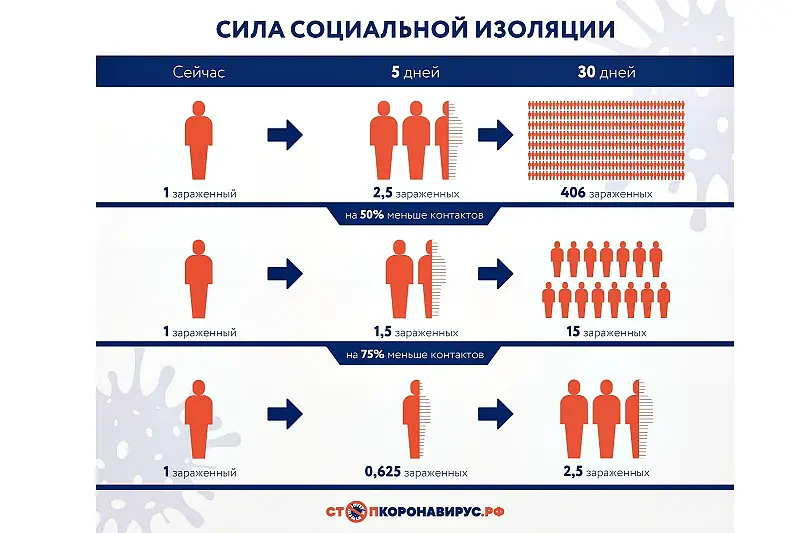 Если вы решили пережить карантин на даче