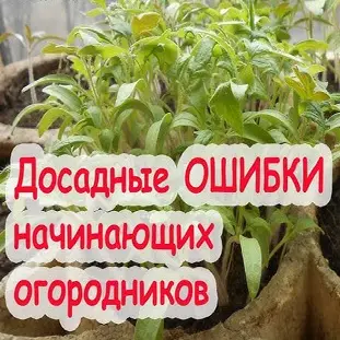 Что посадить в саду, если у вас никогда ничего не росло