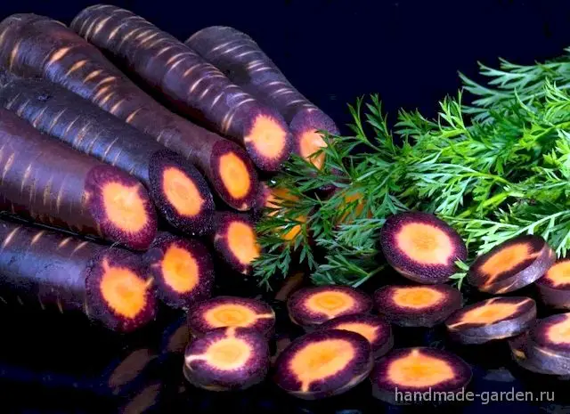 Космически-фиолетовая (Cosmic Purple) Космически-фиолетовая (Cosmic Purple)