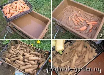 В болтушке из глины