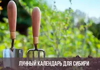 Календарь посадок по лунному календарю на 2021 год для Сибири