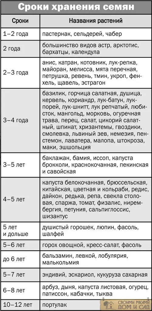 Правильная покупка семян Экономим время и средства Правильная покупка с…