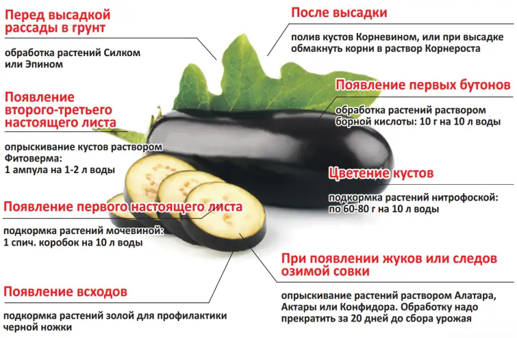 Органические удобрения для синеньких