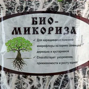Что такое микориза и почему она важна для туи?