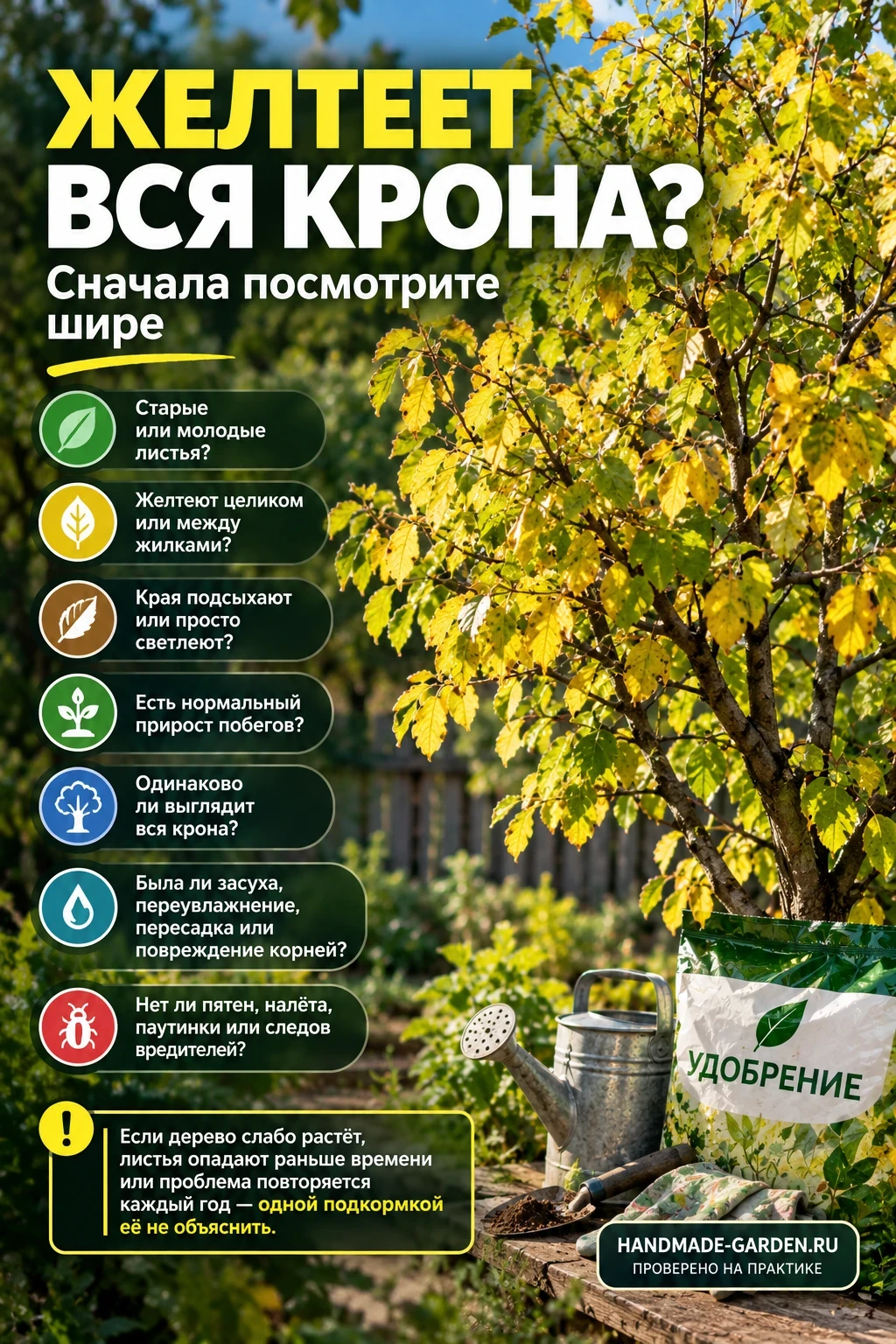 желтеет сразу вся крона