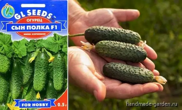 Сын полка F1