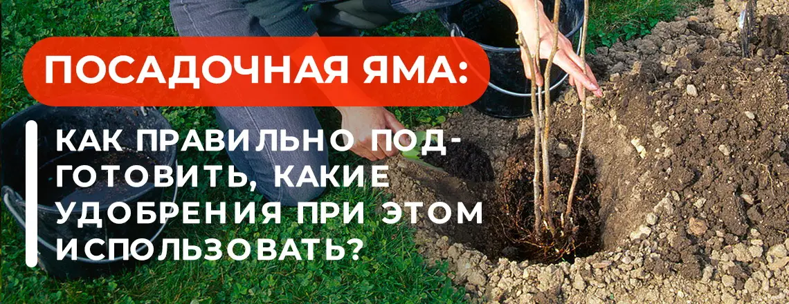 Как избежать ошибок при подготовке ям? Как избежать ошибок при подготовке ям?