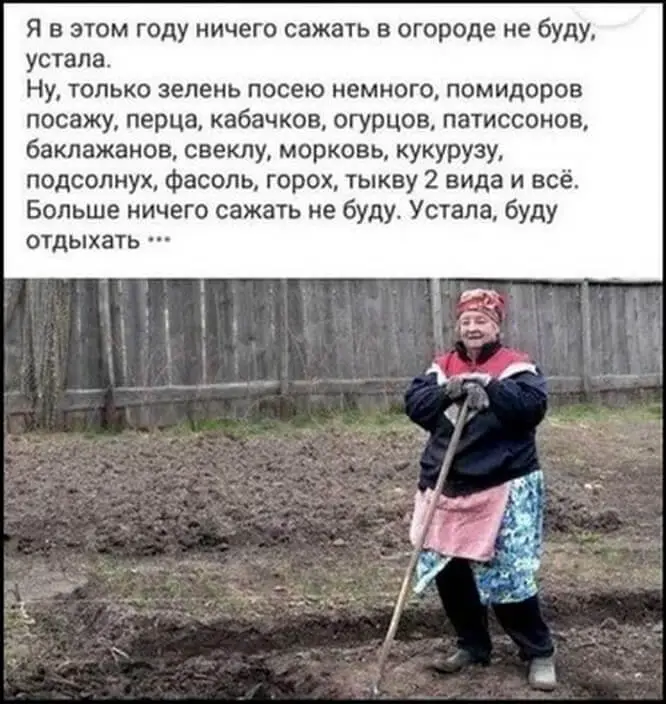 Дачница