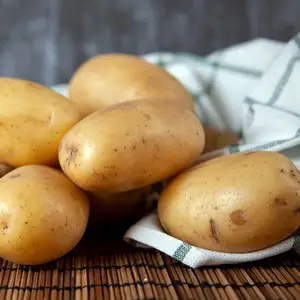 Как вырастить покупной картофель