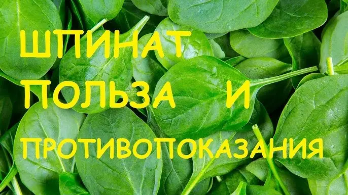 Шпинат: как зелень помогает сохранить здоровье и красоту после 45 лет