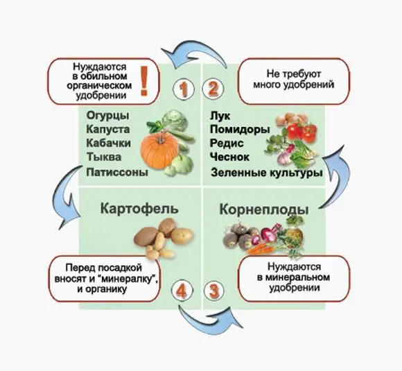 Севооборот овощных культур