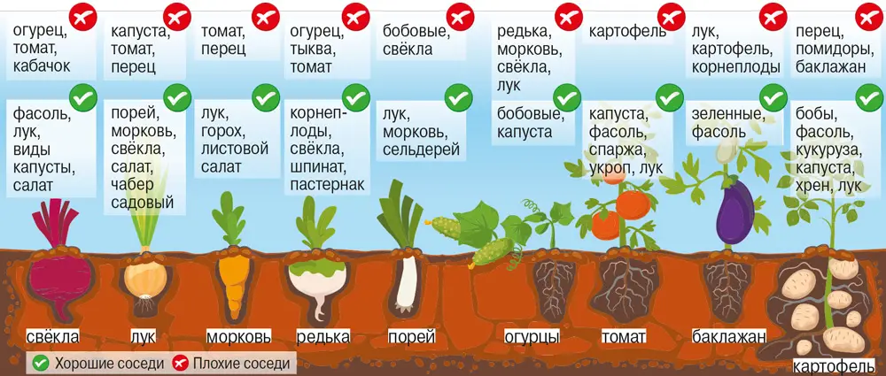 Принципы севооборота Агротехнические требования и принципы севооборота