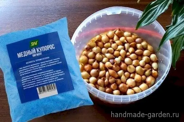 Медный купорос в помощь