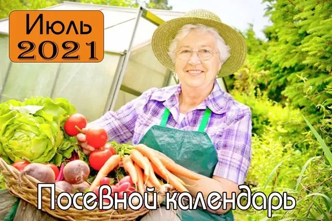 Лунный календарь посадок на Июль 2021 г.