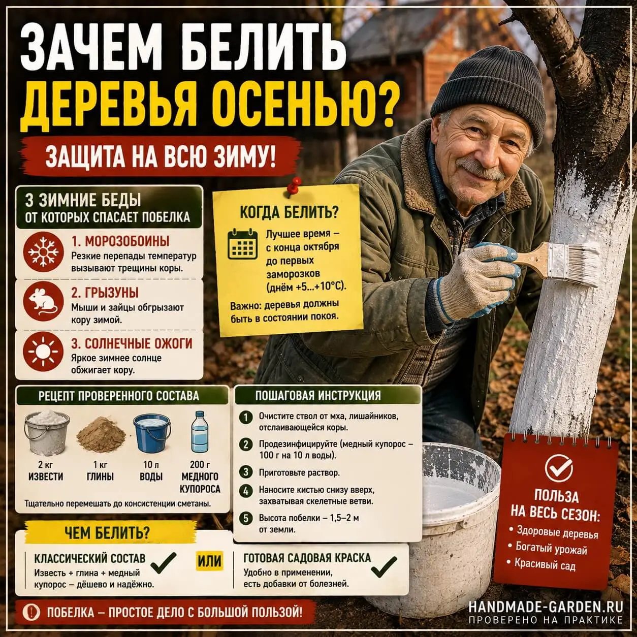 Осенняя побелка деревьев: зачем, когда и чем белит