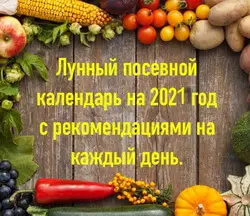 Лунный посевной календарь 2021: таблица посева и посадок